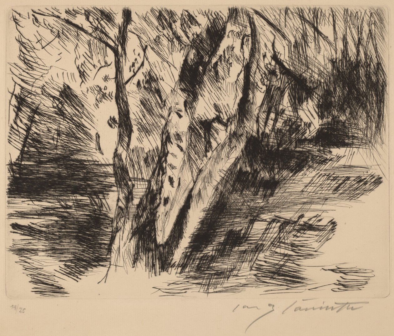 Koivut Tiergartenissa, 1920-1921. tekijältä Lovis Corinth