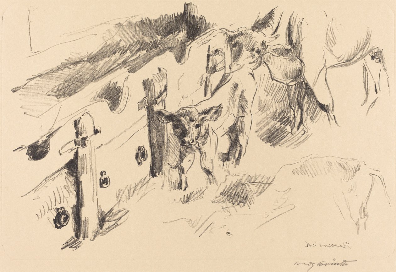 vasikat tekijältä Lovis Corinth