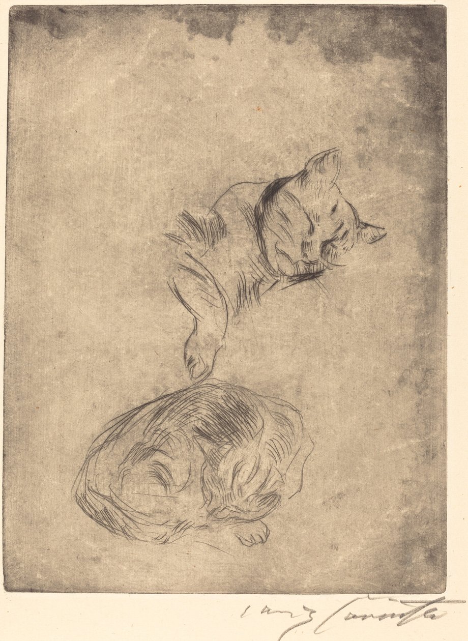 Katzenstudie (Kissatutkimus) tekijältä Lovis Corinth