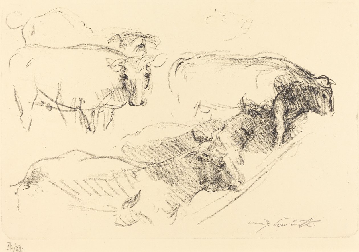 lehmät tekijältä Lovis Corinth