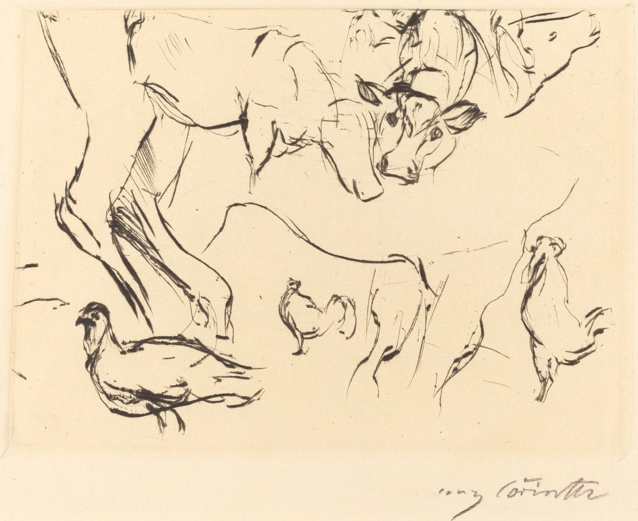 Erilaisia ​​eläintutkimuksia tekijältä Lovis Corinth