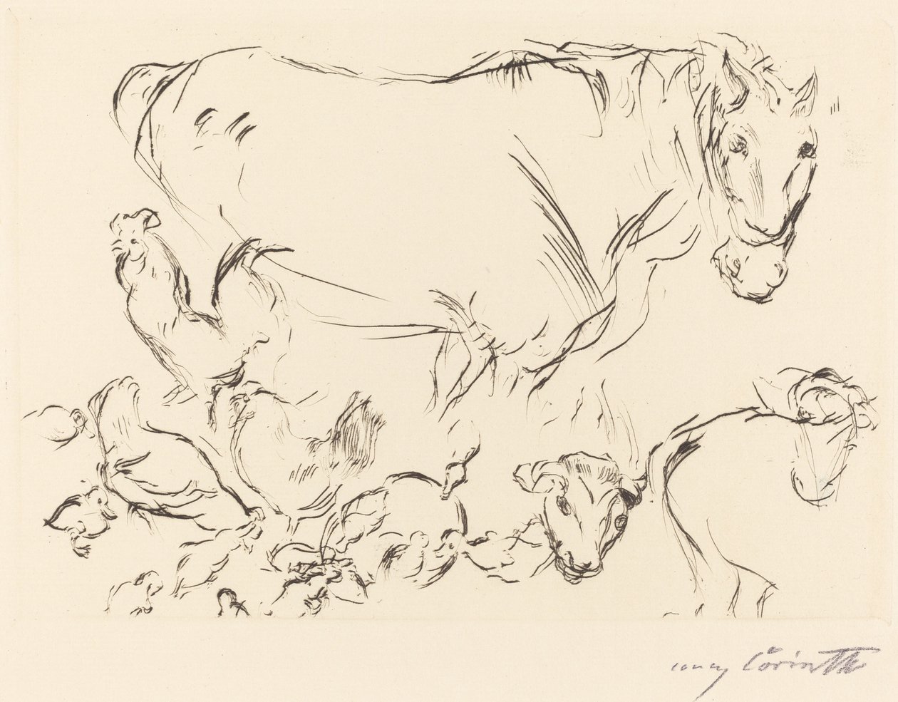 Various Animal Studies Animal Studies, 1917. tekijältä Lovis Corinth