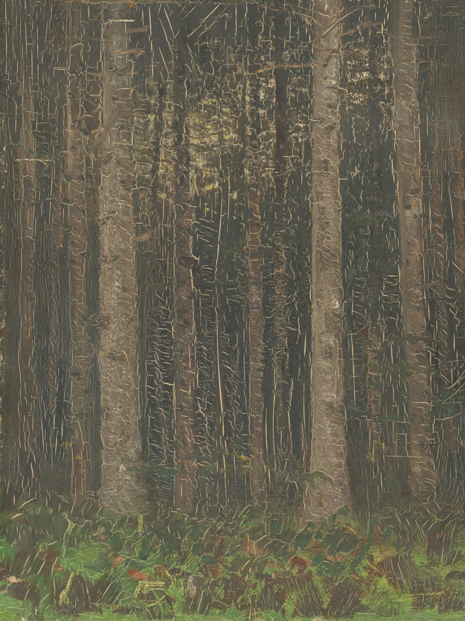 Metsän sisustus tekijältä Laszlo Mednyanszky