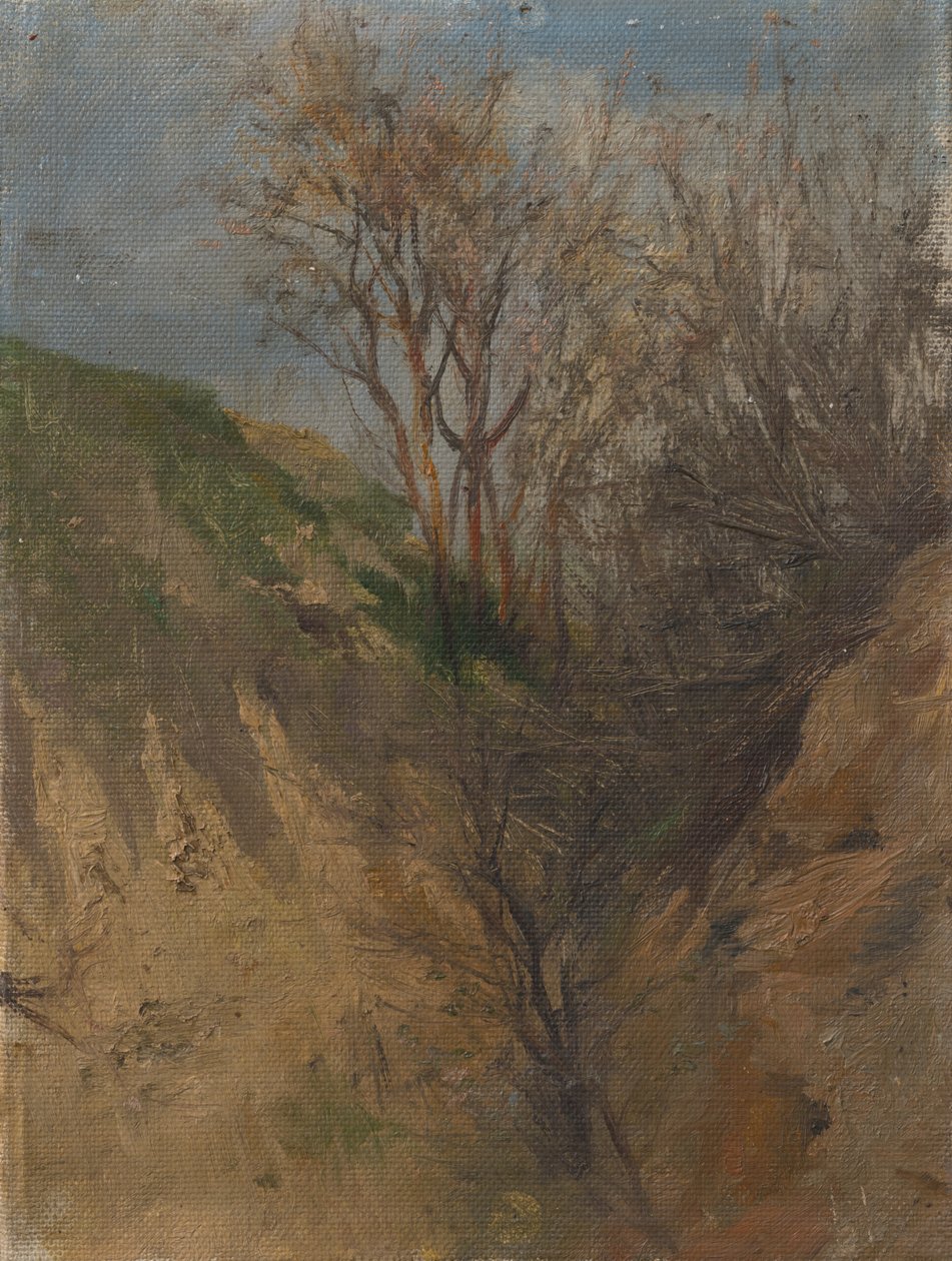 Oja tekijältä Laszlo Mednyanszky