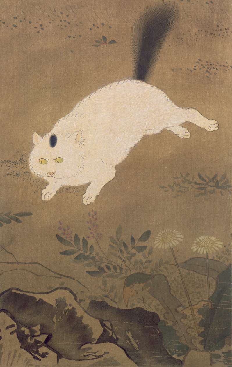 Valkoinen kissa, kuvitus Kokka-lehdestä, julkaistu Japanissa, 1896-7 tekijältä Lu Ji
