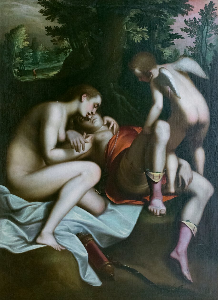 Adonisin kuolema ennen vuotta 1585, Luca Cambiaso (öljy kankaalle) tekijältä Luca Cambiaso