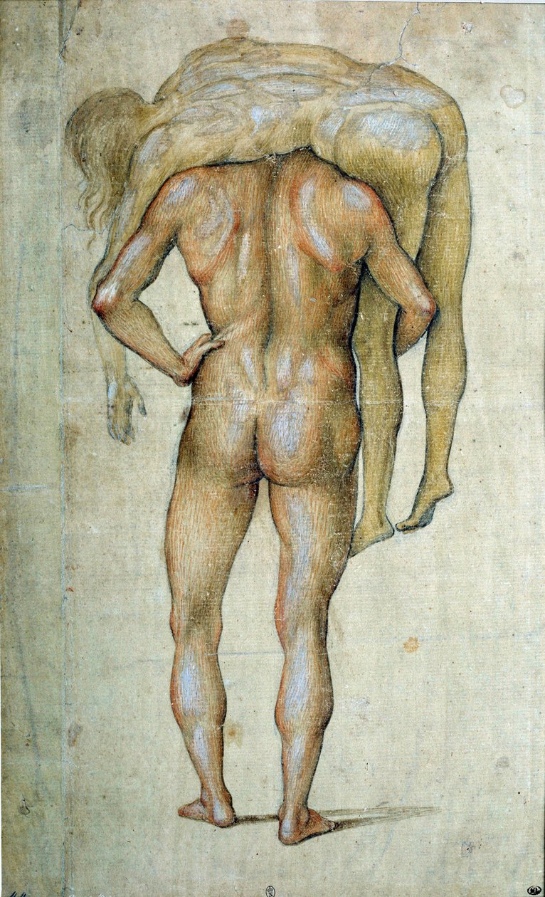 Luca Signorellin (1441-1523) piirustus mies pukeutunut vartaloon 1400-luvun Pariisi, Louvre-museo tekijältä Luca Signorelli