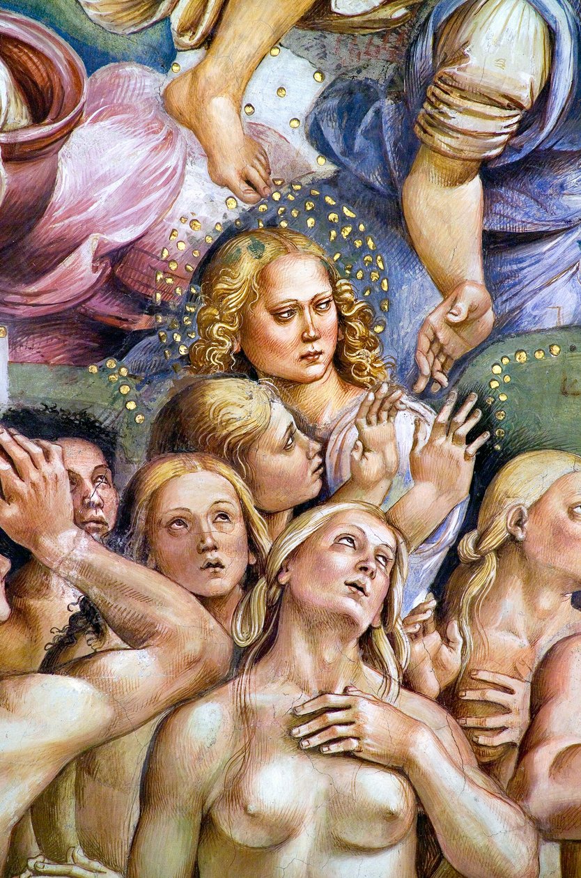 Valittu, Viimeinen tuomio -fresco-syklistä tekijältä Luca Signorelli