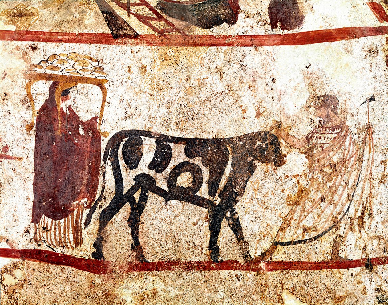 Härkä johtaa uhrausalttarille Lucanian freskon 4. vuosisadalta eKr. Andriuolo-hautausmaa Paestumista Italiasta. Museo nazionale archeologico, Paestum tekijältä Lucanian School