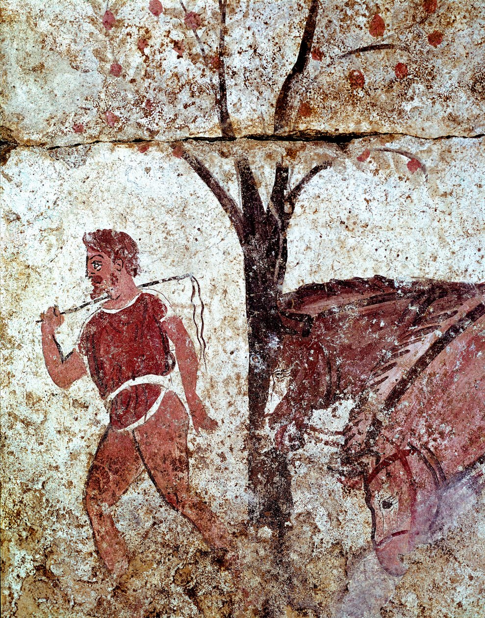 Talonpoika vetää kahta hevosta Lucanian fresko 4. vuosisadalta eKr. Paestumin hautausmaalta Italiasta. Museo nazionale archeologico, Paestum tekijältä Lucanian School