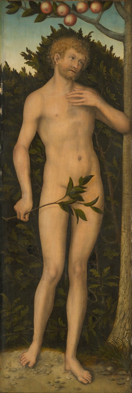 Adam tekijältä Lucas Cranach the Elder