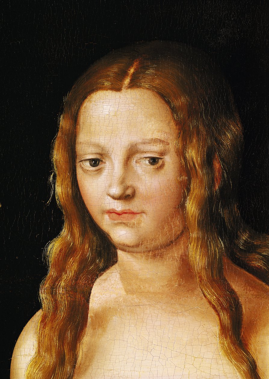 Aadam ja Eeva, yksityiskohta Eevan päästä (yksityiskohta 159264) tekijältä Lucas Cranach the Elder