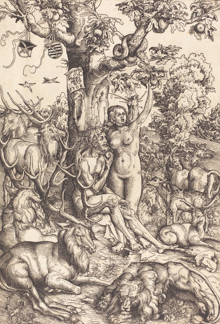 Adam und Eva (Kansallinen taidegalleria) tekijältä Lucas Cranach the Elder