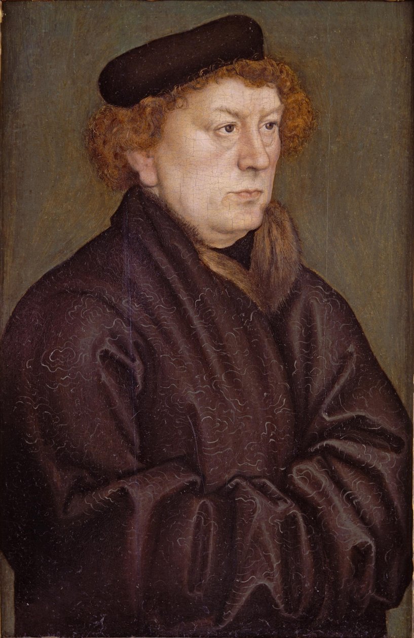 Bildnis eines Gelehrten tekijältä Lucas Cranach the Elder