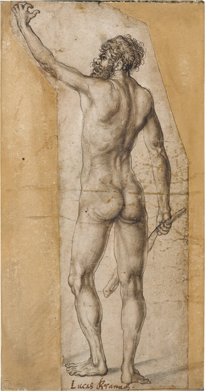 Rückenakt eines stehenden Mannes tekijältä Lucas Cranach the Elder