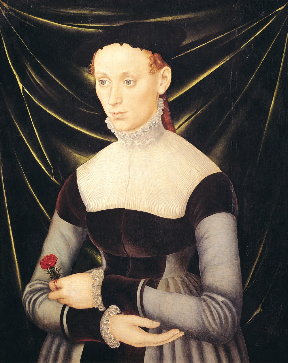 Nainen neilikka kanssa tekijältä Lucas Cranach the Elder