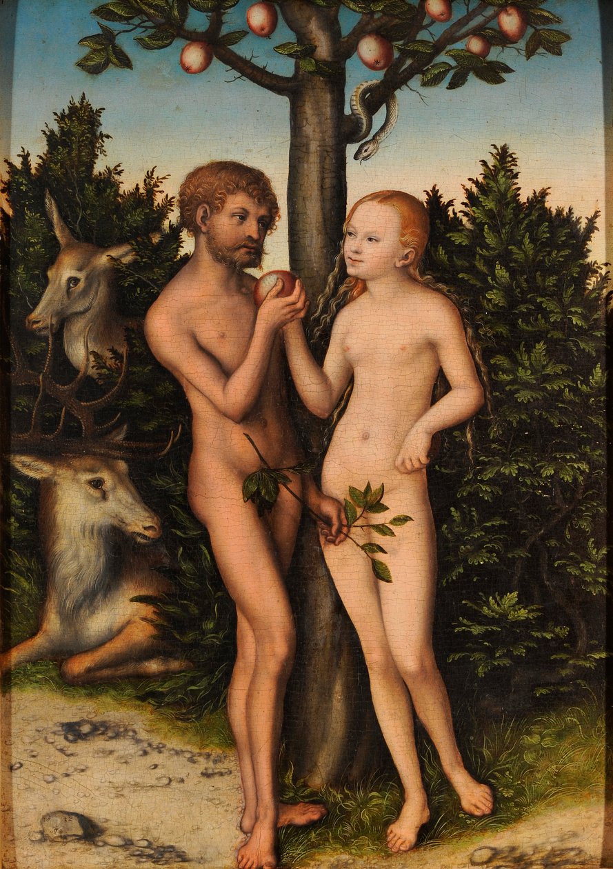 Aatami ja Eeva tekijältä Lucas Cranach the Elder