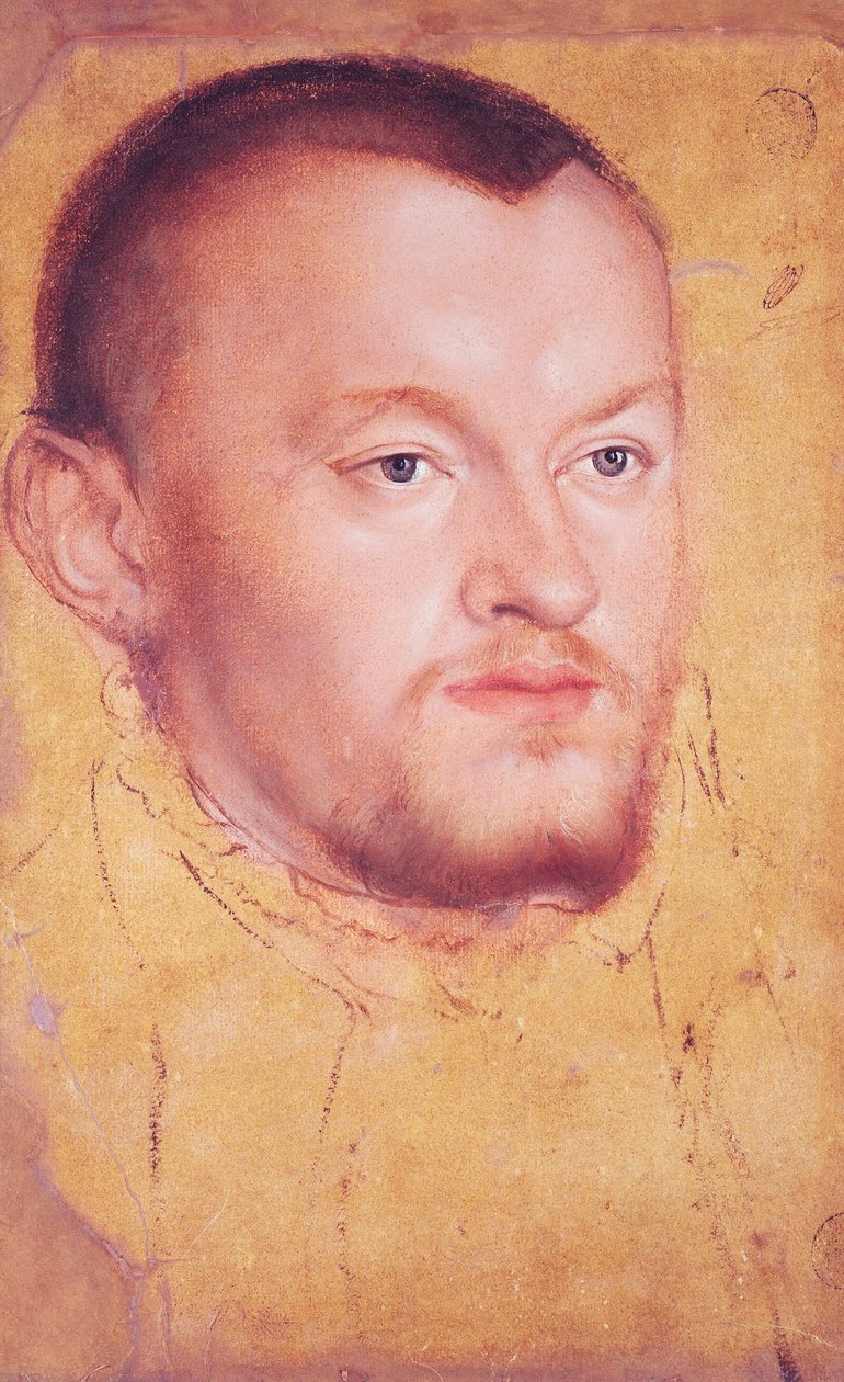 Augustus I:n (1526-86) muotokuva Saksin vaaliruhtinas (öljy, guassi ja wc paperilla) tekijältä Lucas Cranach the Younger