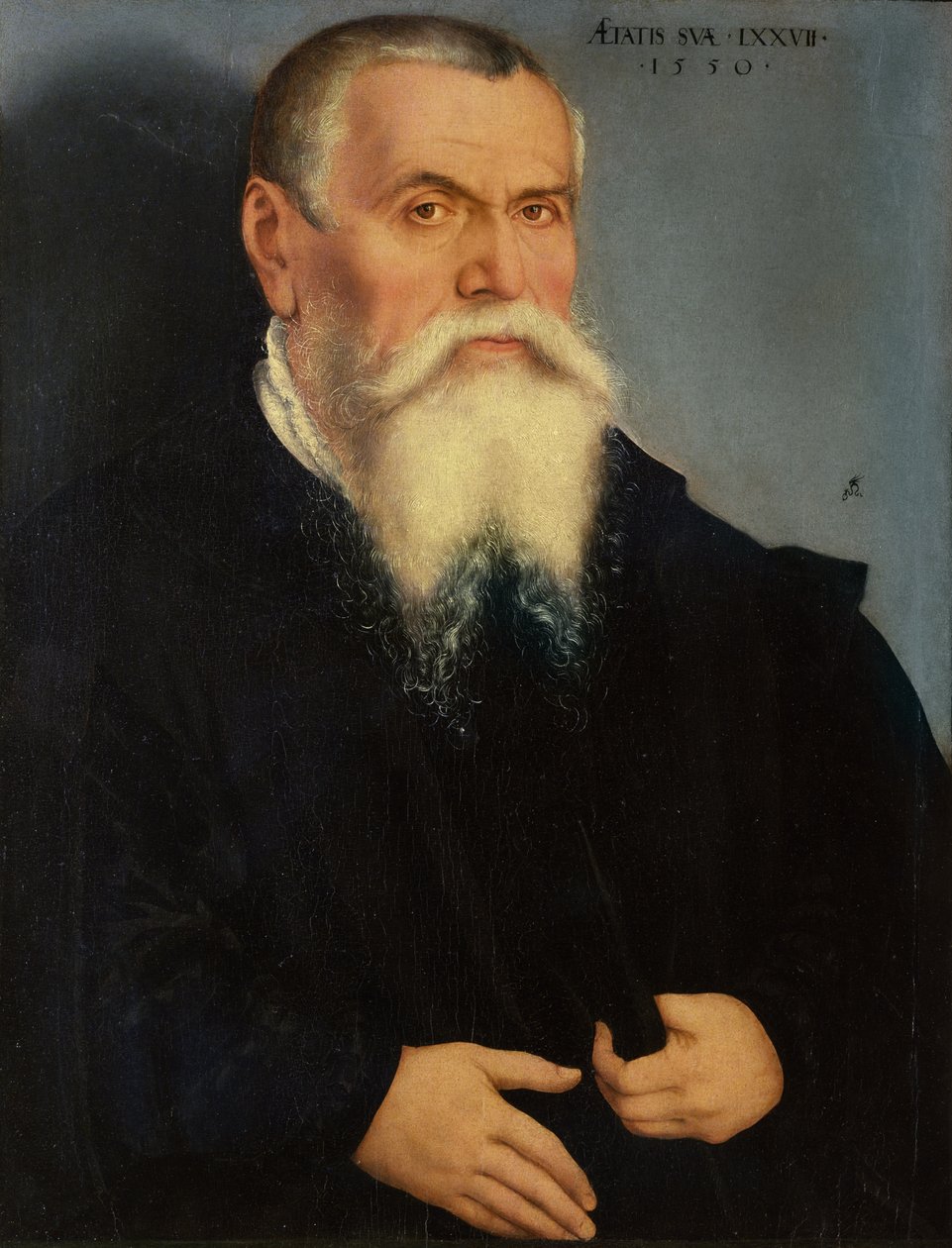 Lucas Cranach vanhemman (1472-1553) muotokuva 1550 (öljy) tekijältä Lucas Cranach the Younger