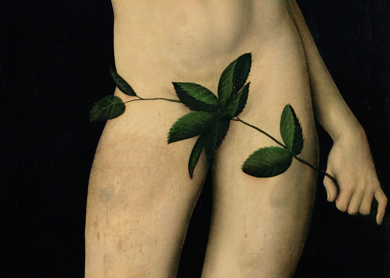Aatami, 1528 öljy paneelille yksityiskohta kuvasta 9628 tekijältä Lucas Cranach the Elder