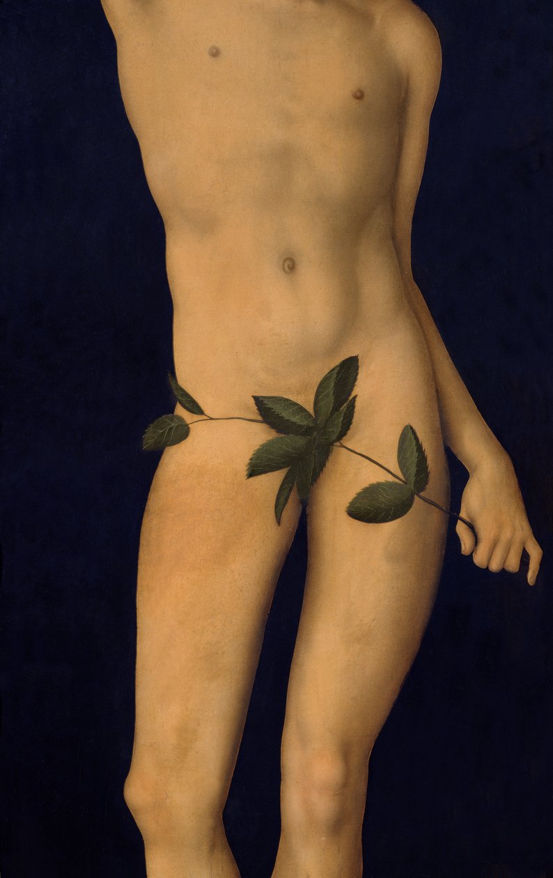 Aatami, 1528 öljy paneelille yksityiskohta kuvasta 9628 tekijältä Lucas Cranach the Elder