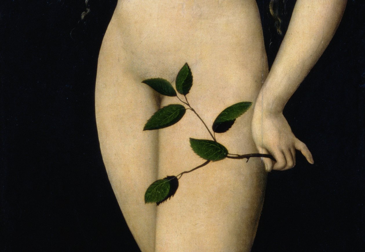 Eeva, 1528 (yksityiskohta kuvasta 9629) tekijältä Lucas Cranach the Elder