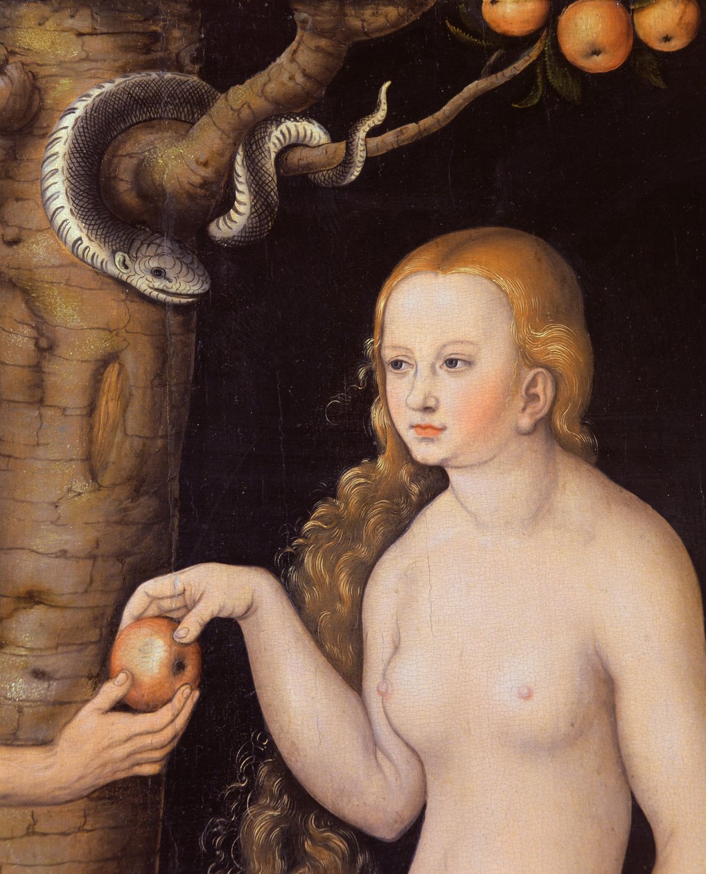 Eeva tarjoaa omenan Aatamille Eedenin puutarhassa ja käärme, n.1520-25 öljy puulle, yksityiskohta kuvasta 407328. tekijältä Lucas Cranach the Elder