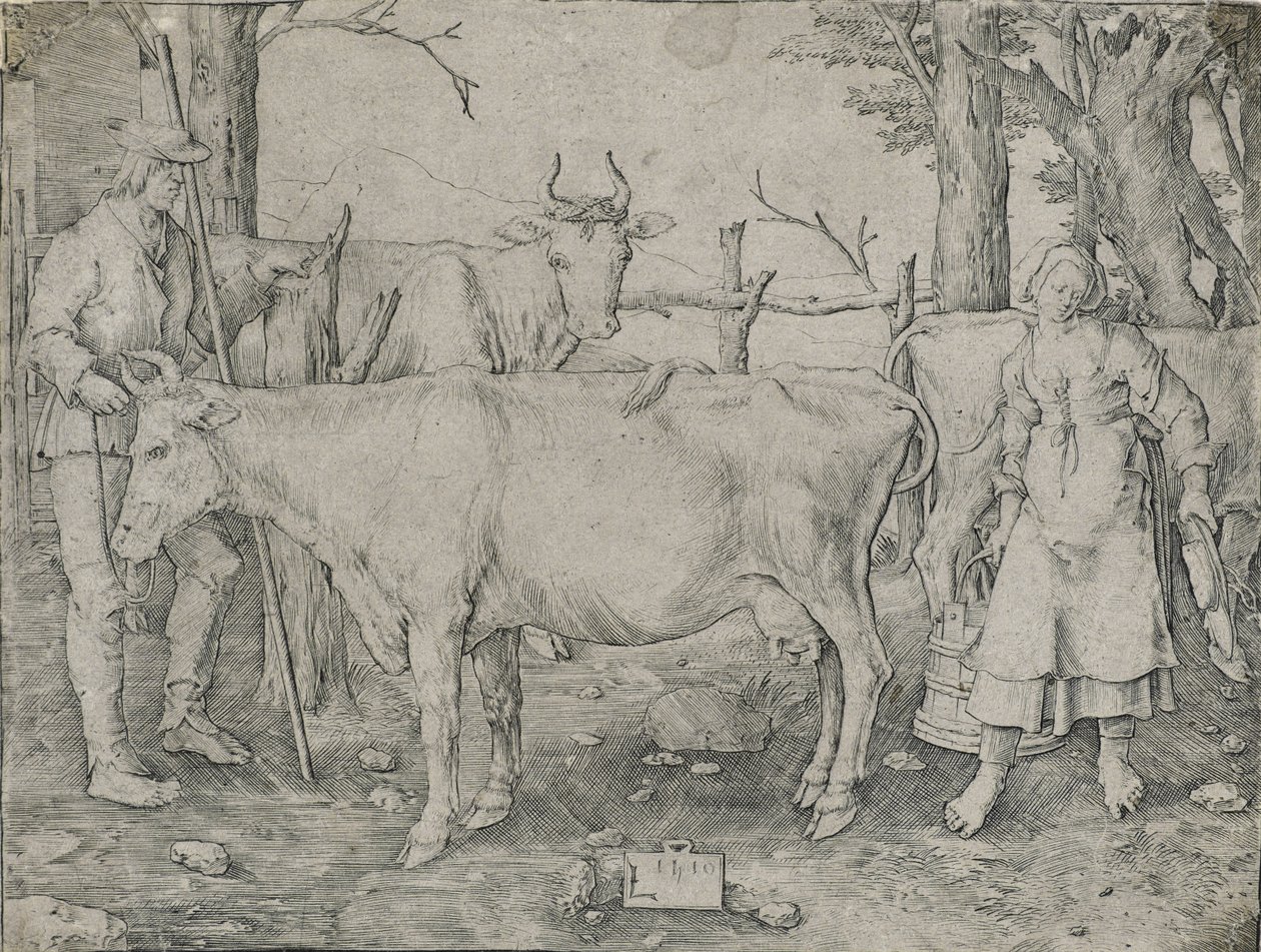 Maitotar, 1510 tekijältä Lucas van Leyden