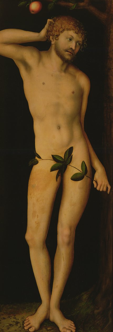 Adam, 1528 tekijältä Lucas Cranach the Elder