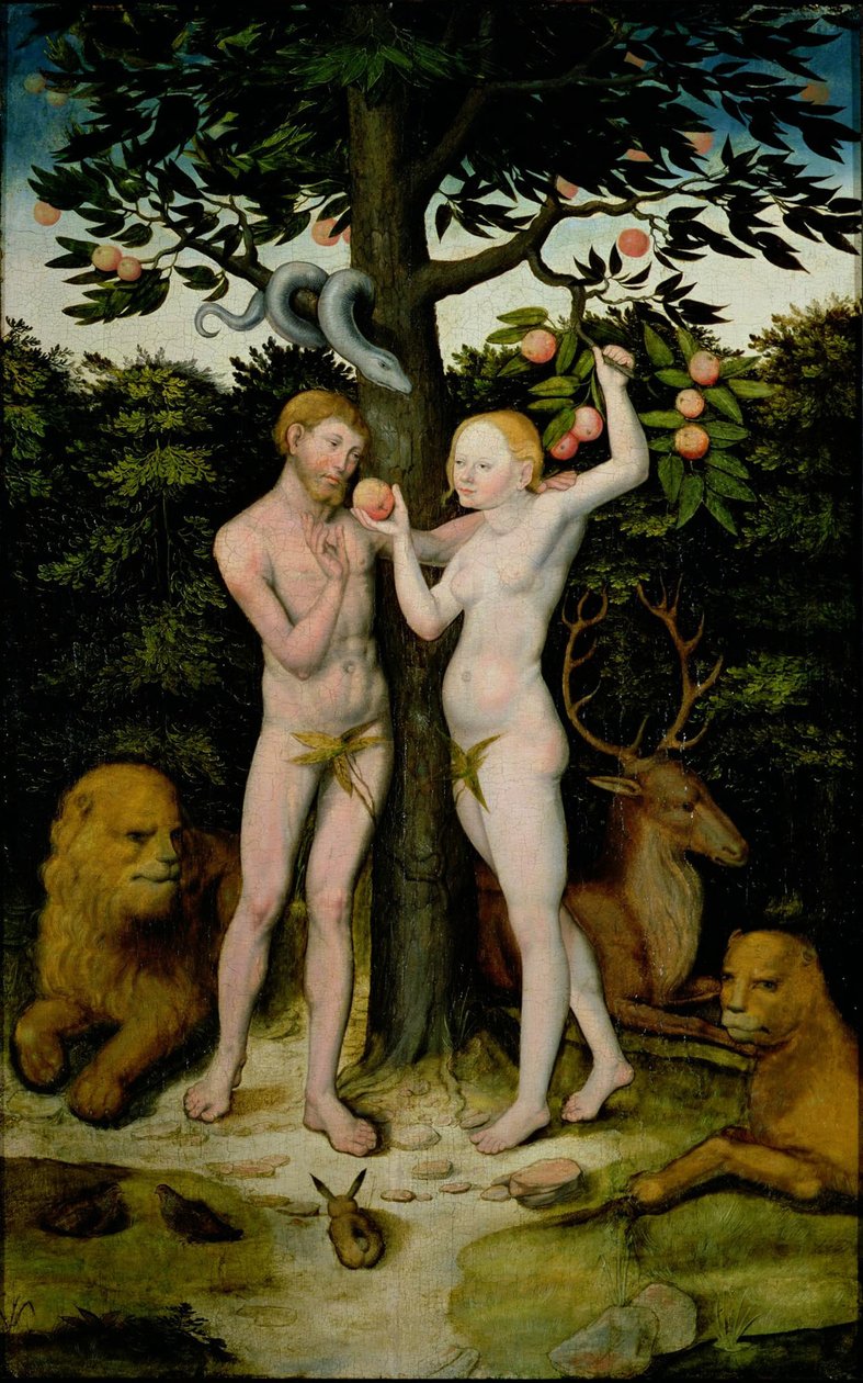 Aatami ja Eeva tekijältä Lucas Cranach the Elder