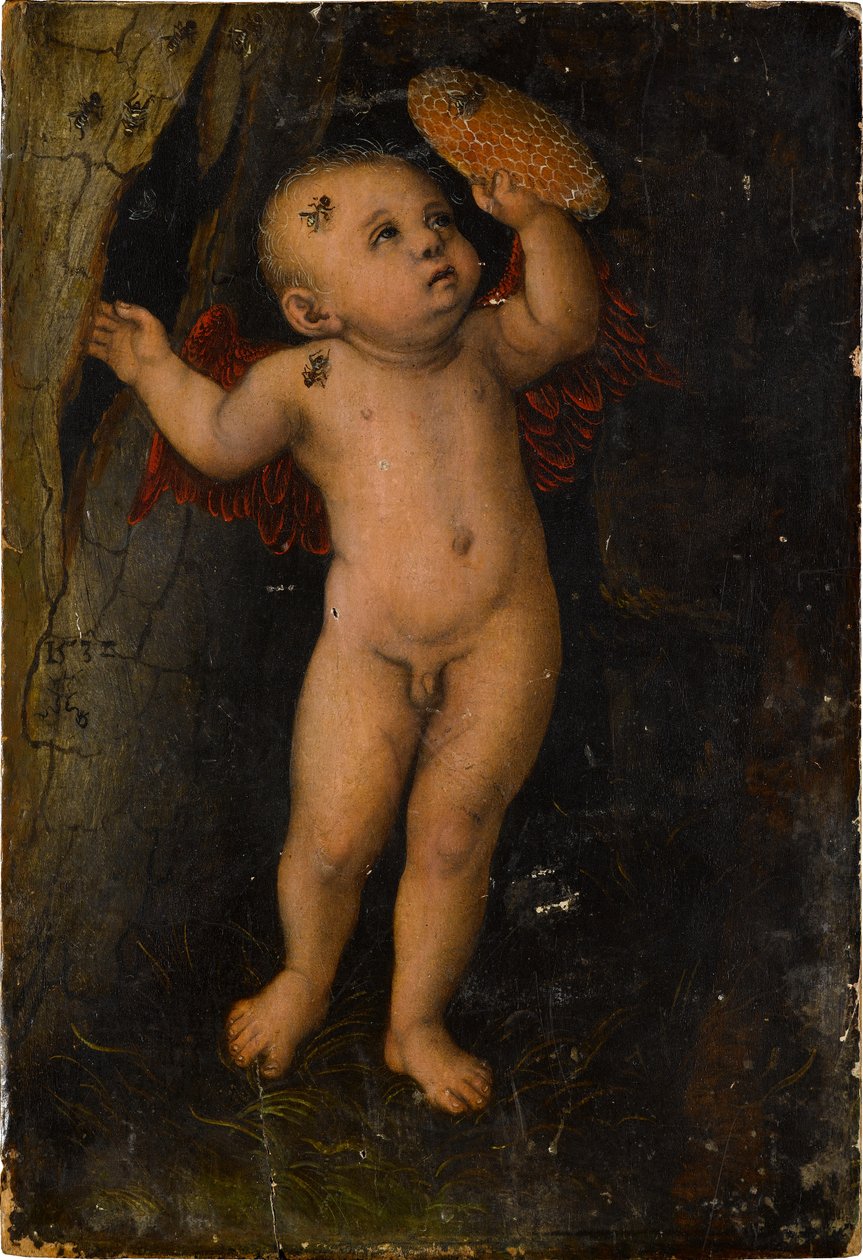 Amor als Honigdieb (Fragment) tekijältä Lucas Cranach