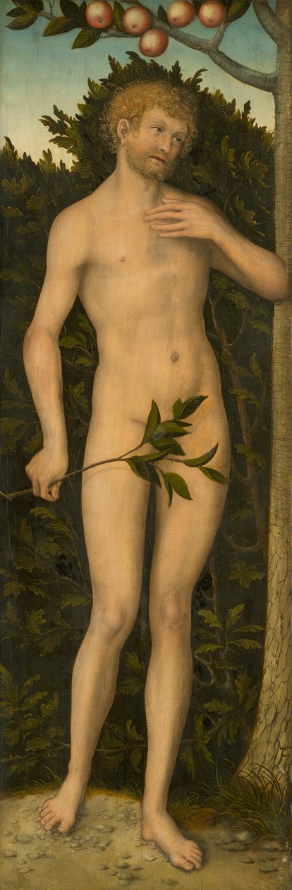 Adam tekijältä Lucas Cranach the Elder