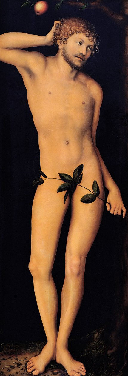 Adam, 1528. tekijältä Lucas Cranach the Elder
