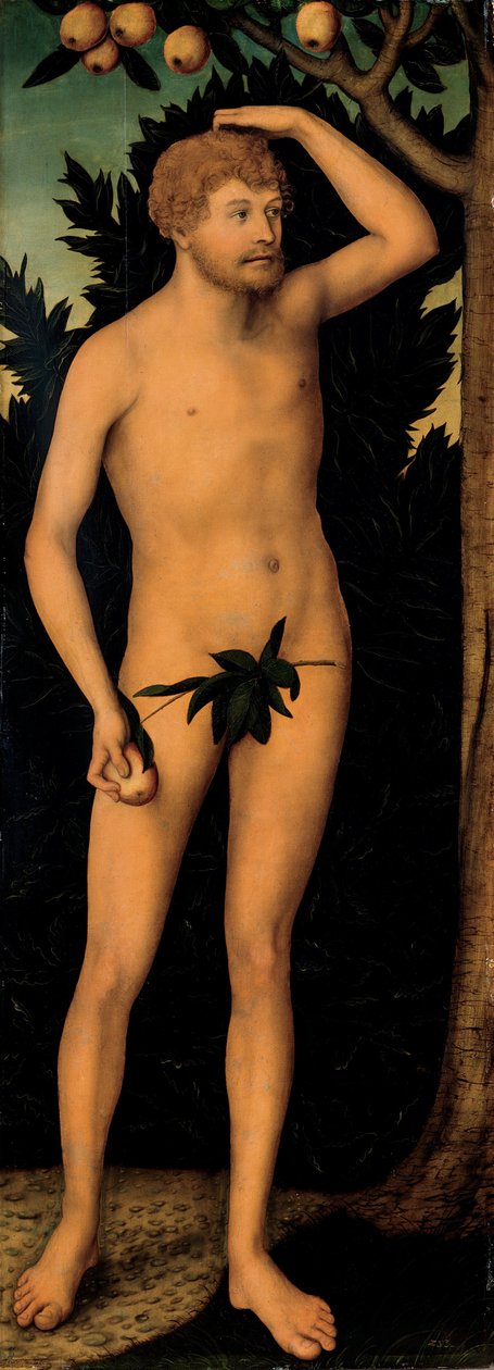 Adam, vuoden 1537 jälkeen tekijältä Lucas Cranach the Elder