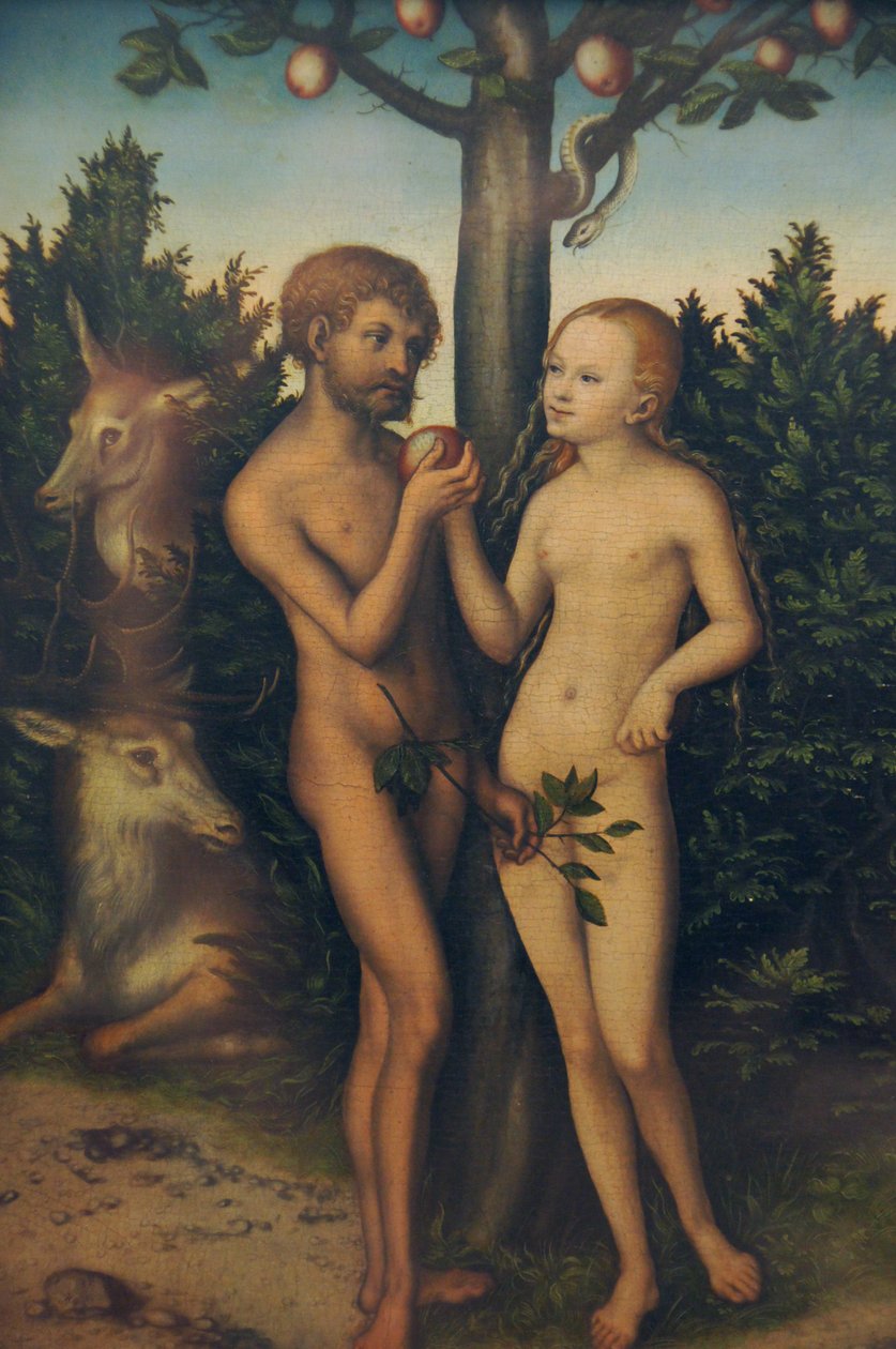 Aatami ja Eeva tekijältä Lucas Cranach the Elder