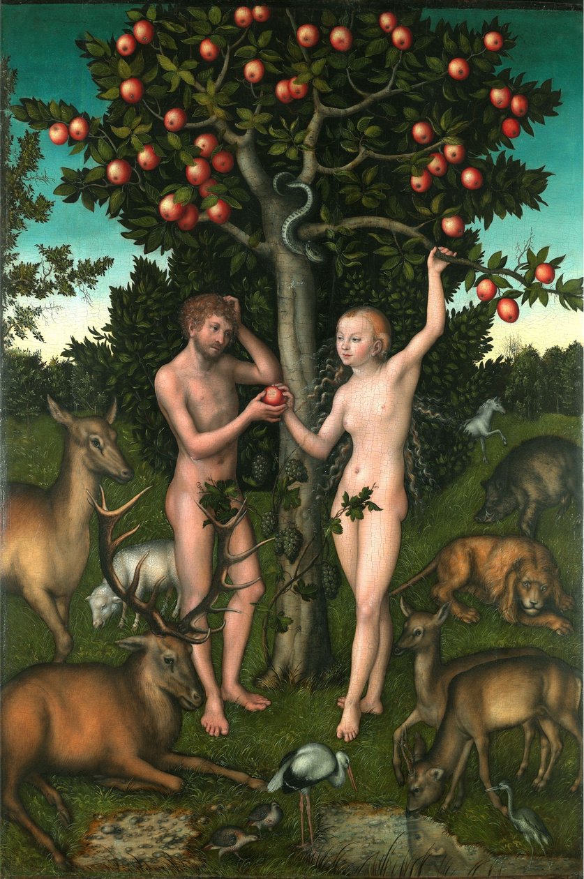 Aatami ja Eeva tekijältä Lucas Cranach the Elder