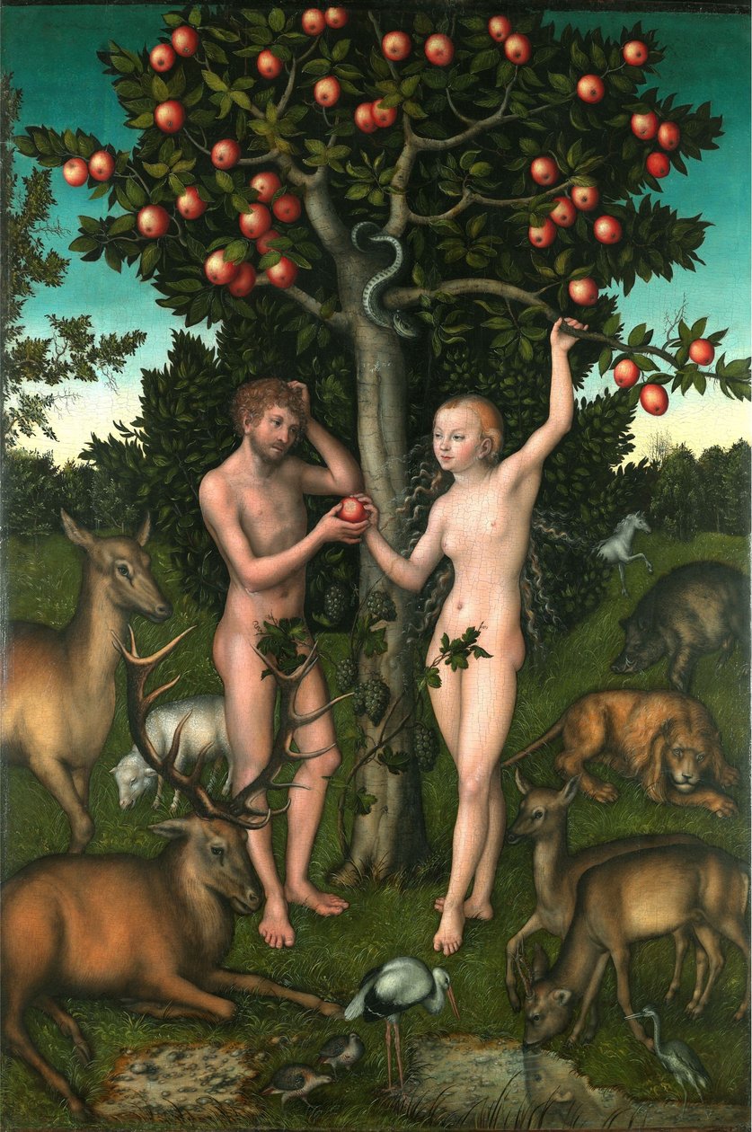 Aatami ja Eeva tekijältä Lucas Cranach the Elder