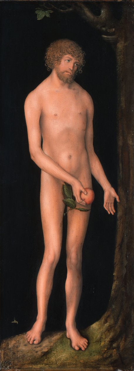 saksa: Adam Adam tekijältä Lucas Cranach the Elder