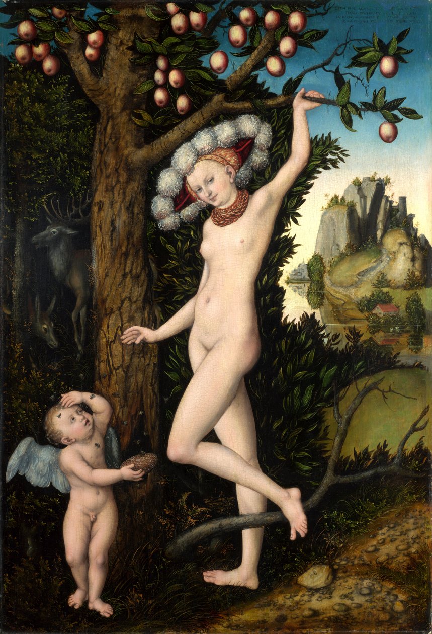 Saksa: Amor beklagt sich bei Venus Cupido valittaa Venukselle. tekijältä Lucas Cranach the Elder