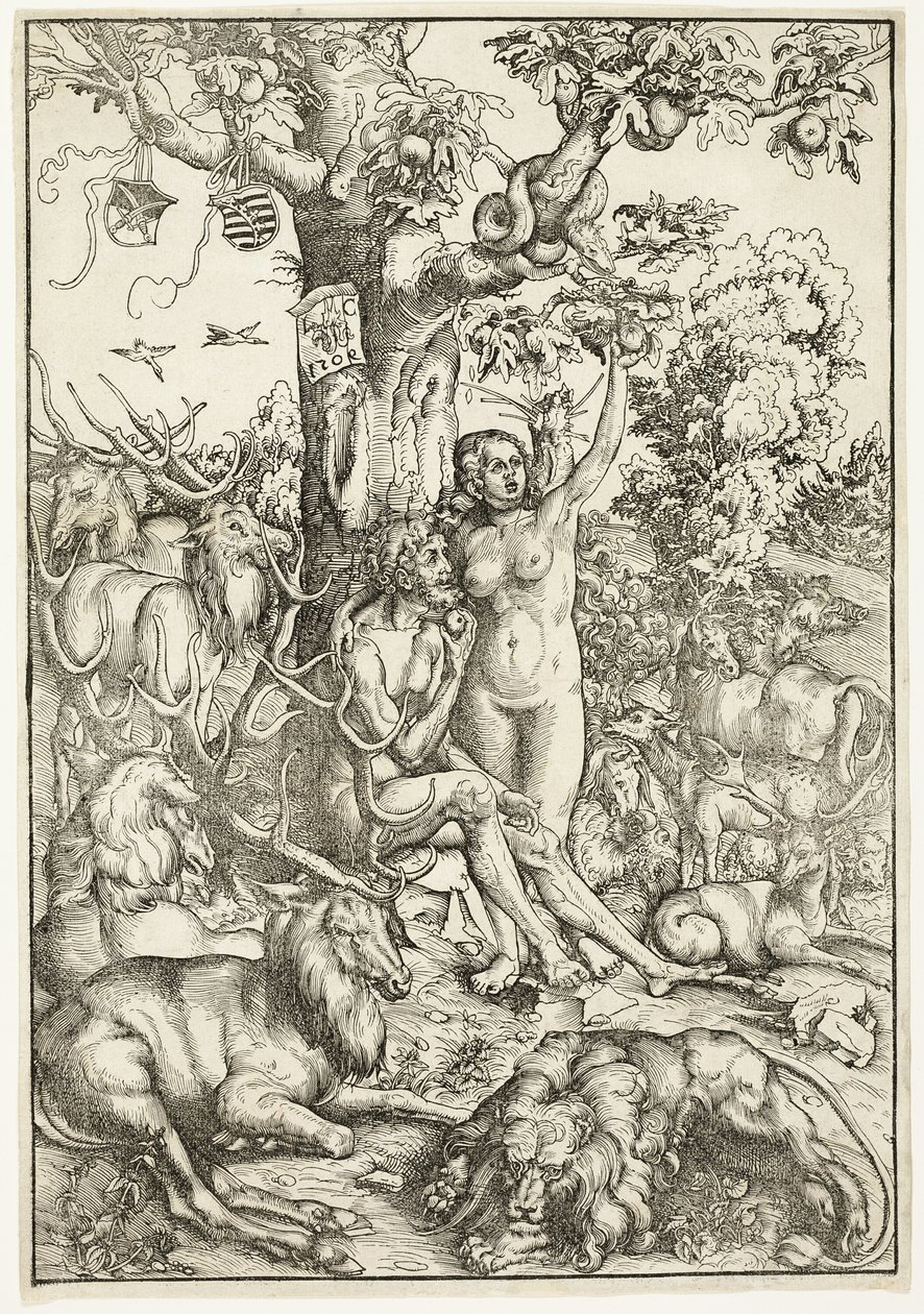 Ihmisen syntiinlankeemus tekijältä Lucas Cranach the Elder