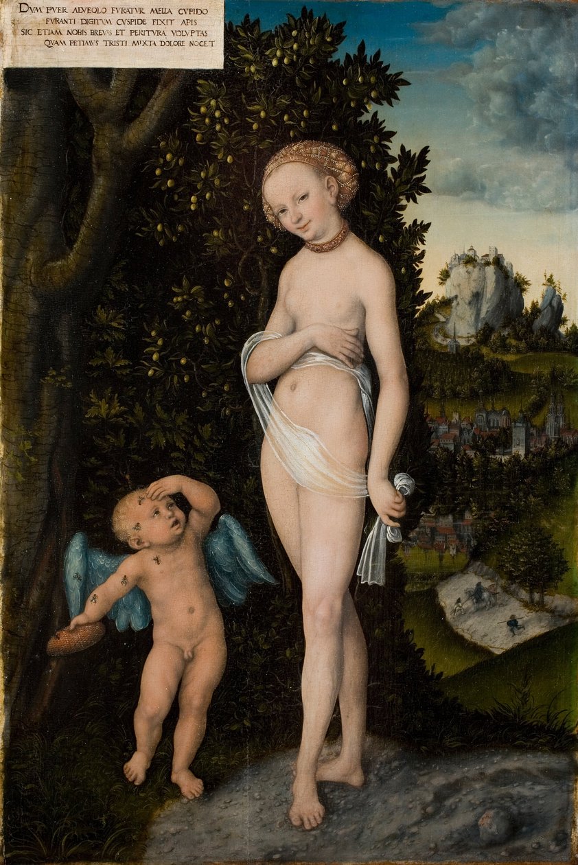 Venus ja Amor, hunajavaras tekijältä Lucas Cranach the Elder
