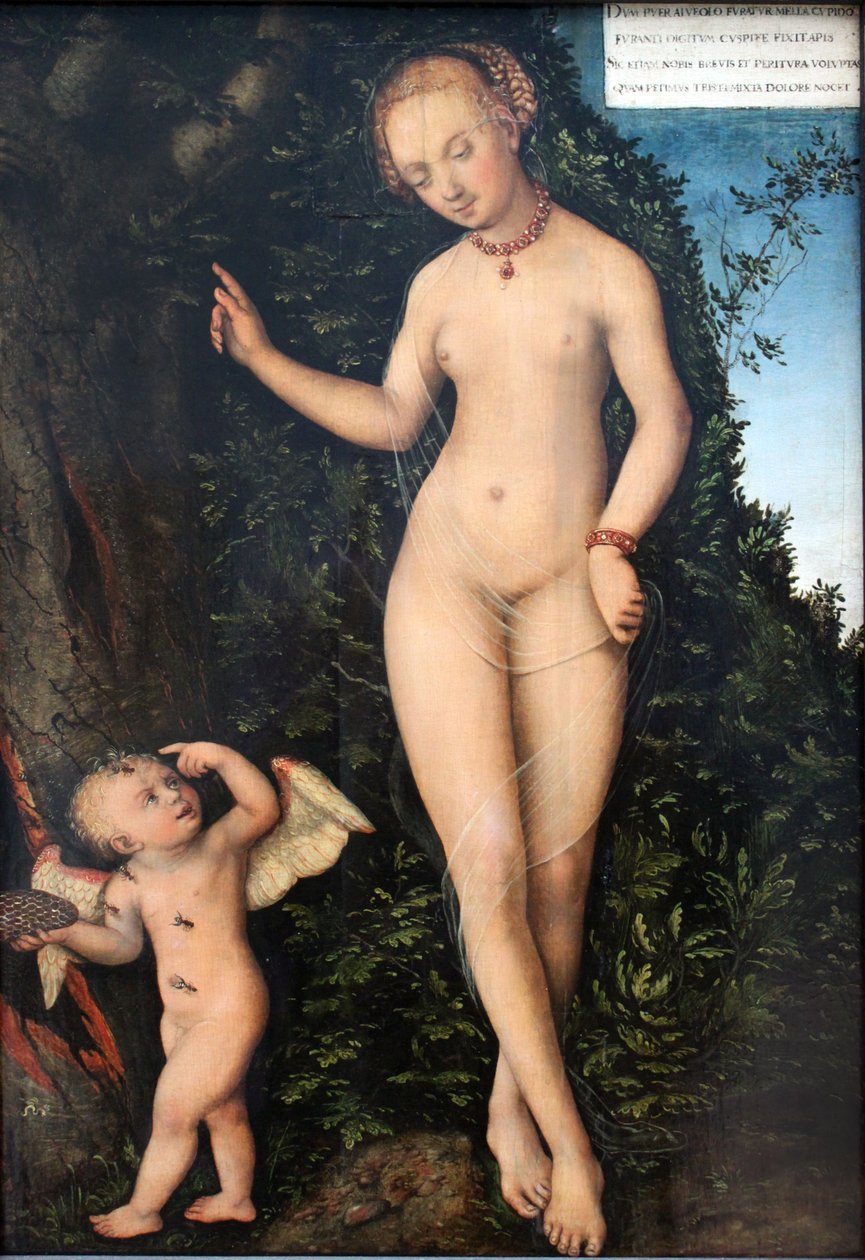Venus ja Amor, hunajavaras tekijältä Lucas Cranach the Elder