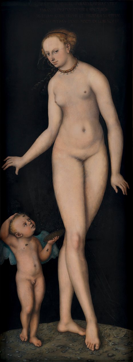 Venus mit Amor hahmona Honigdieb vor schwarzem Grund tekijältä Lucas Cranach the Elder