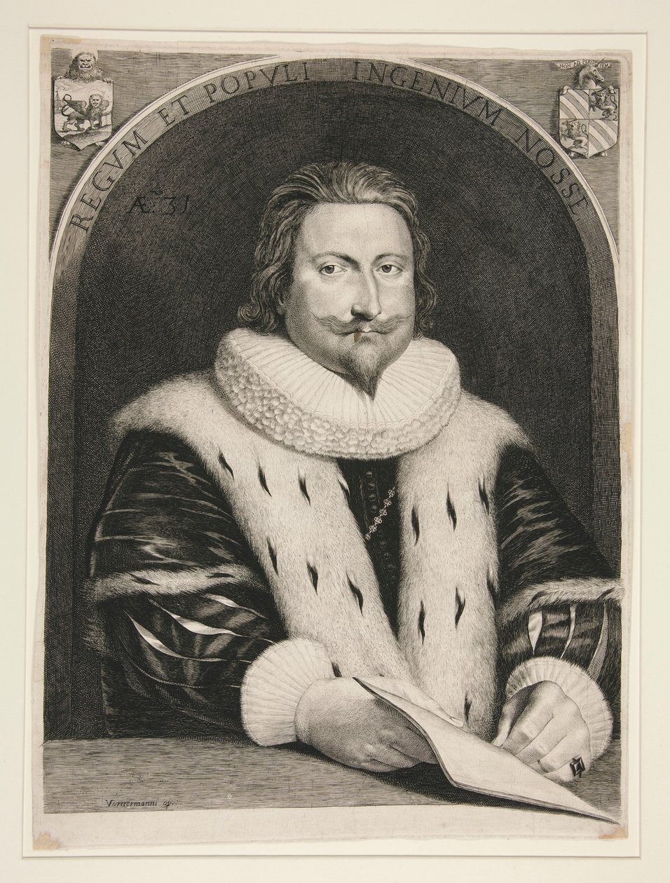 Alvise Contarini/Aloysius Contareno 31-vuotiaana tekijältä Lucas Vorsterman the Elder
