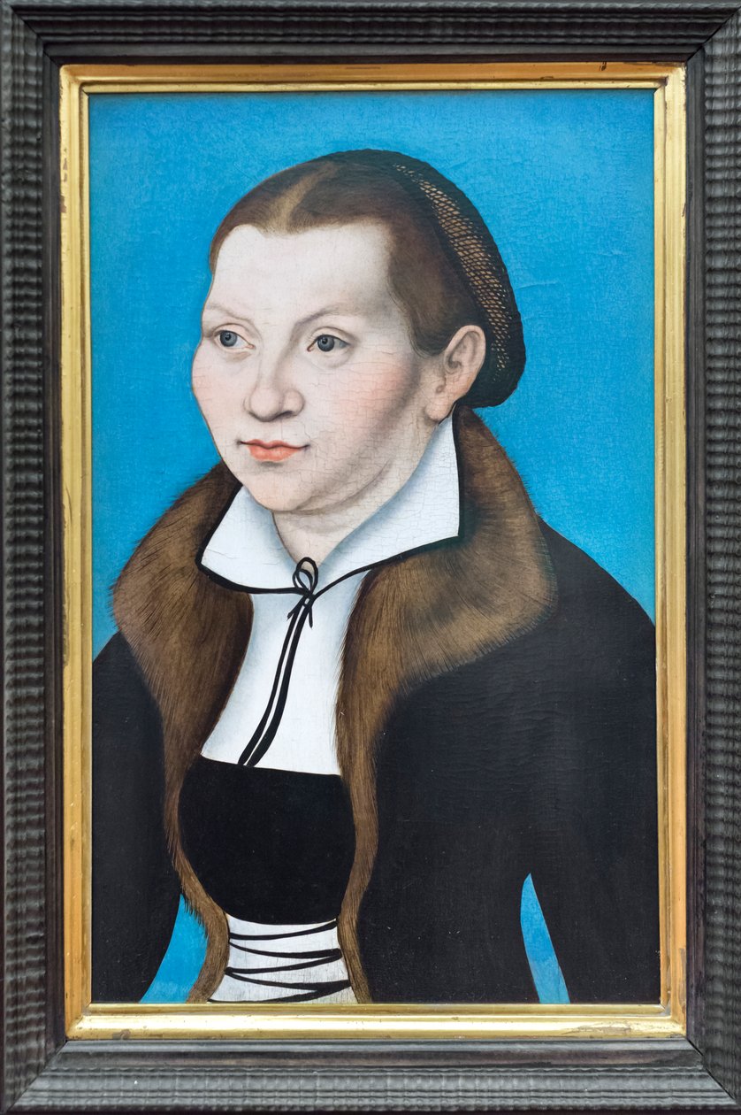 Katharina von Voran muotokuva tekijältä Lucas the Elder (workshop of) Cranach