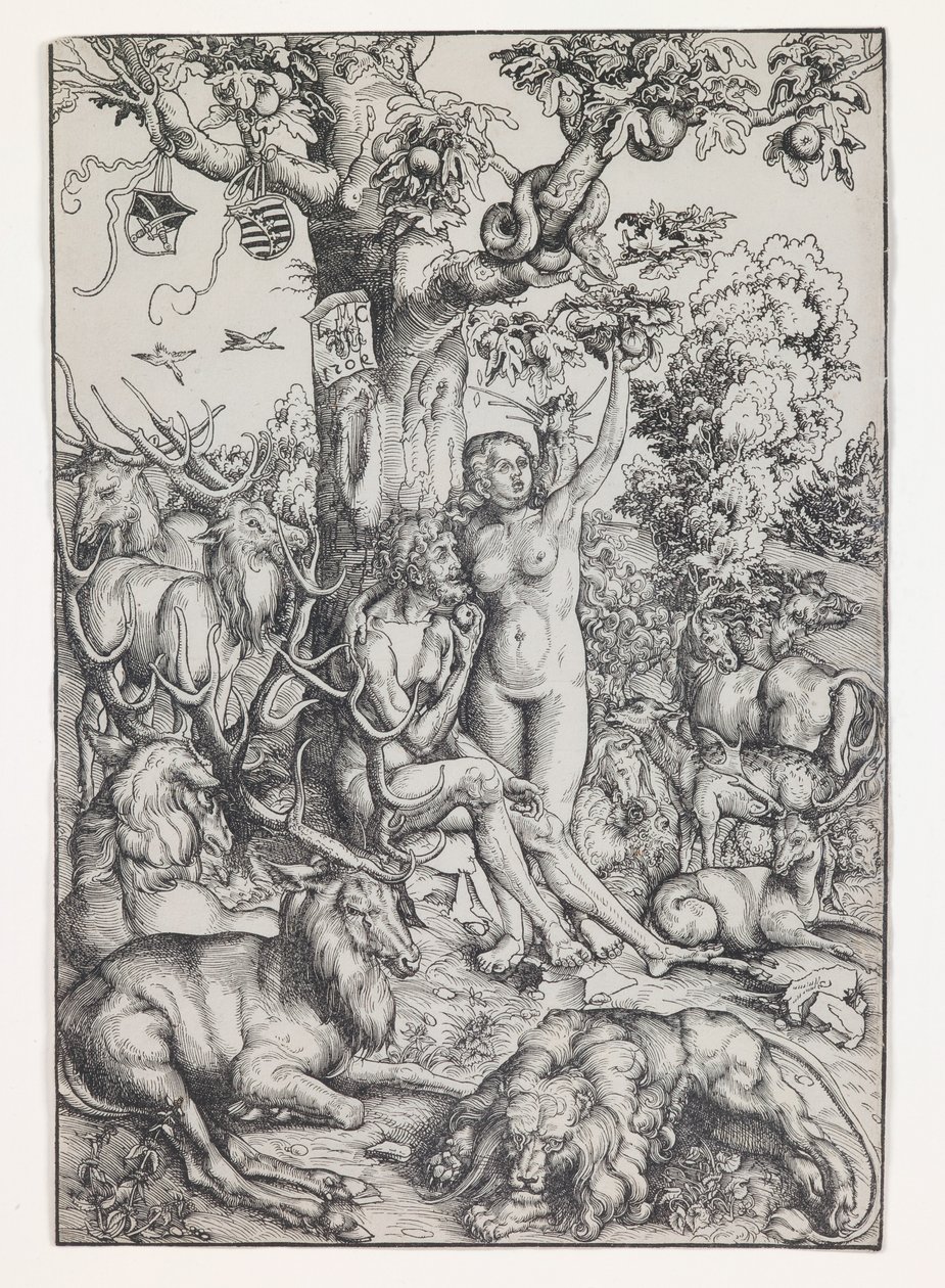 Aatami ja Eeva paratiisissa tekijältä Lucas the Elder Cranach