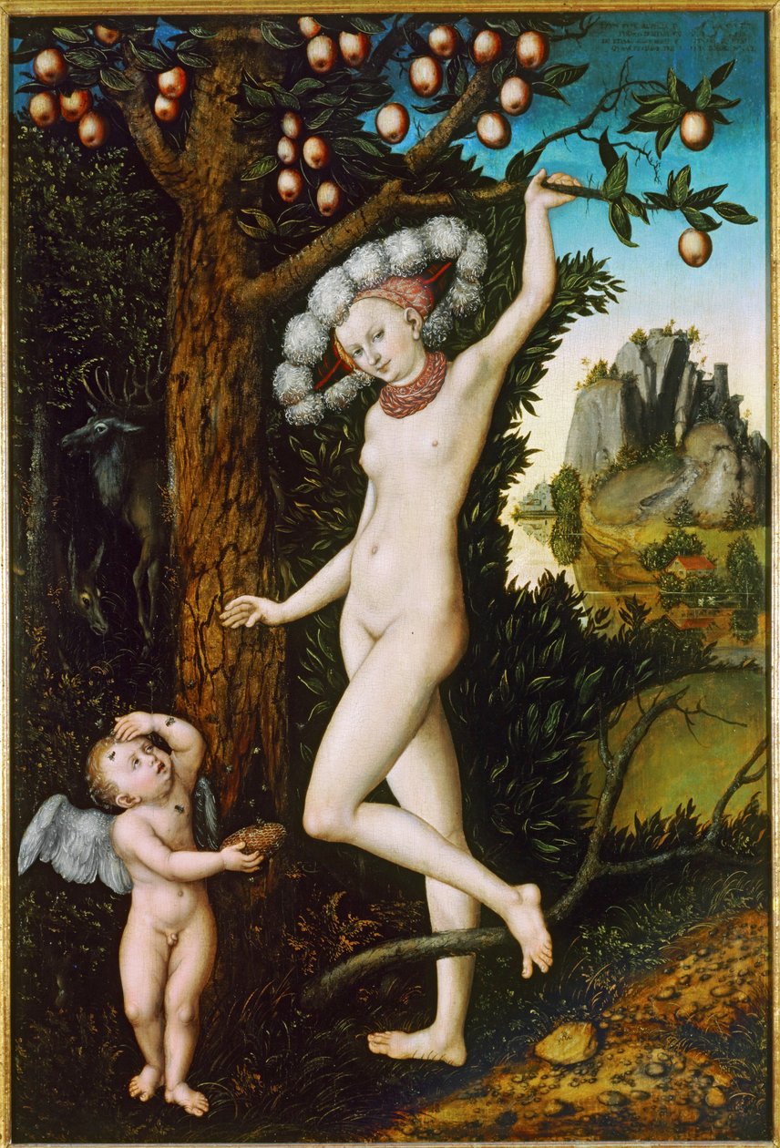 Amor valittaa Venukselle ... (maalaus puulle) tekijältä Lucas the Elder Cranach