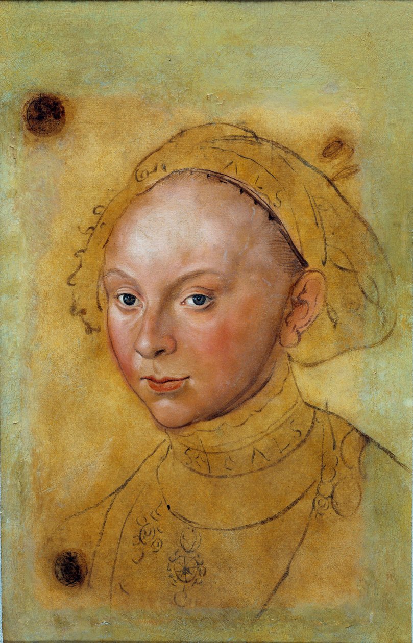 Catherine de Brunswick Grubenhagenin muotokuva Lucas Cranachin maalaus (1472-1553) tekijältä Lucas the Elder Cranach