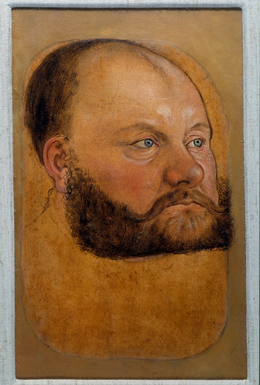Muotokuva Saksin prinssi Wolf Anhaltista, uudistuksen prinssi Lucas Cranach Vanha (tai vanhin) pastellipiirros tekijältä Lucas the Elder Cranach