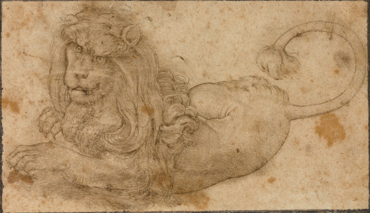 Leijonatutkimus tekijältä Lucas the Elder Cranach